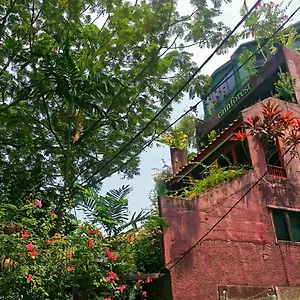 https://rainforest-bed-breakfast-hotel.kualalumpurs-hotels.com